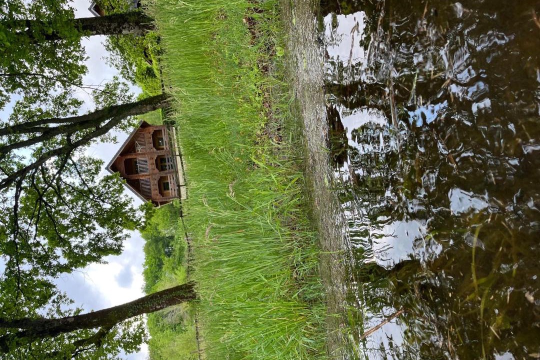 Photo of Others in Montigny-en-Morvan
