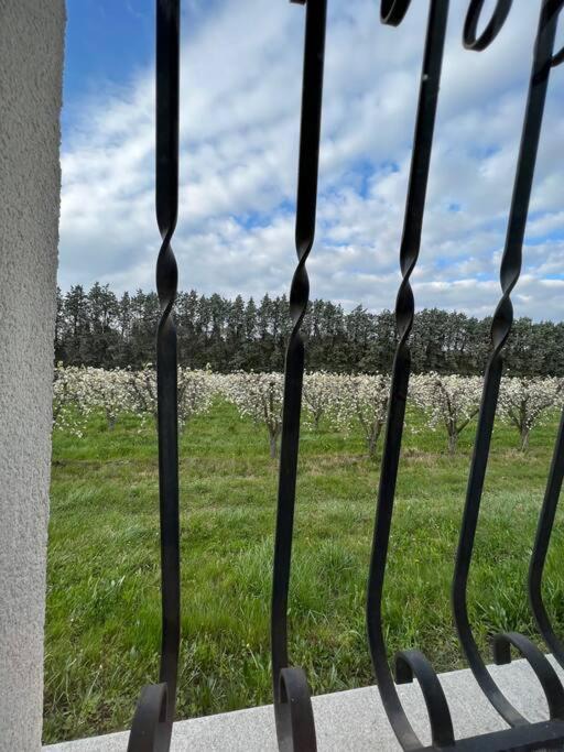 Photo of Others in Cabannes