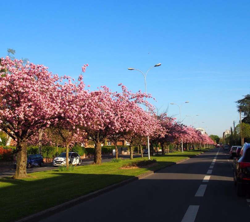 Photo of Others in Marcq-en-Baroeul