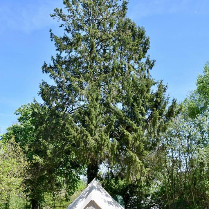 Photo of Others in Saint-Mars-sur-la-Futaie
