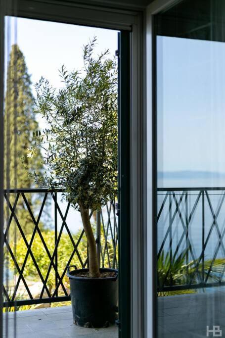 Photo of Patio Balcony in Sodici
