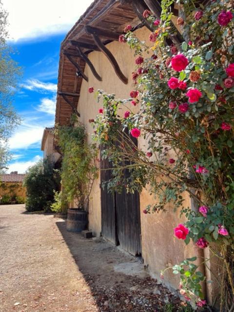 Photo of Others in Monguilhem
