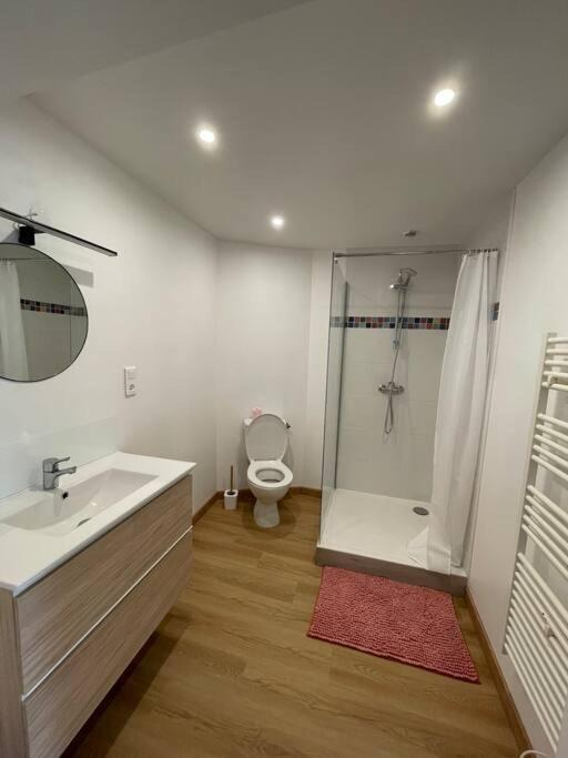 Photo of Bathroom in Lavardac
