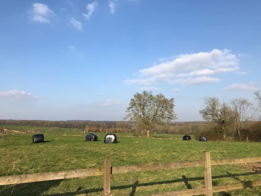 Photo of Outdoor in Woodfalls