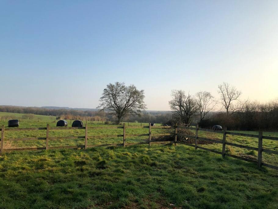 Photo of Outdoor in Woodfalls