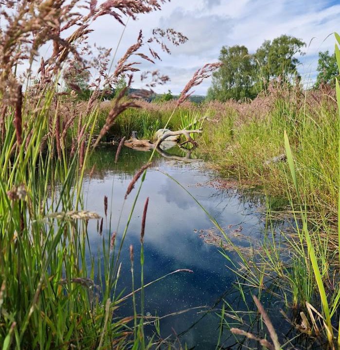 Photo of Outdoor in Callander