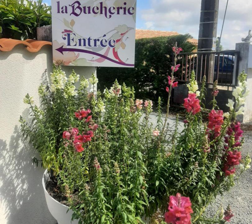 Photo of Others in Saint-Laurent-de-la-Barriere