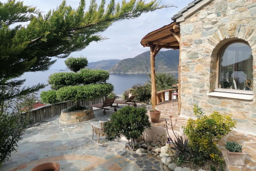 Photo of Others in Pino