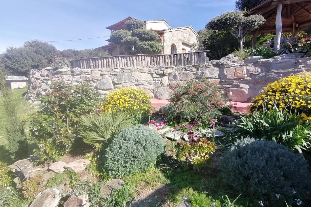 Photo of Others in Pino