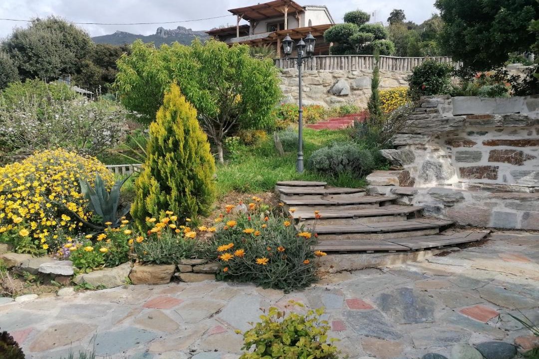 Photo of Others in Pino