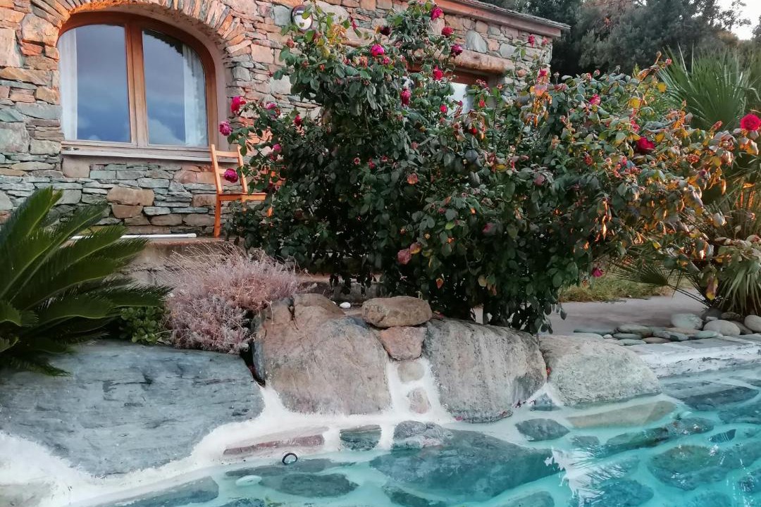 Photo of Outdoor in Pino