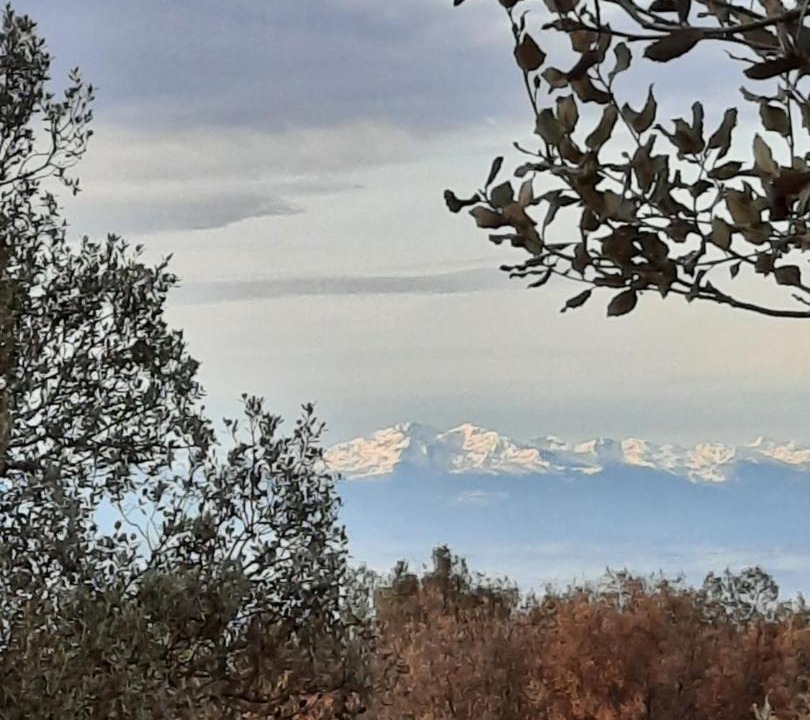 Photo of Others in Brousses-et-Villaret