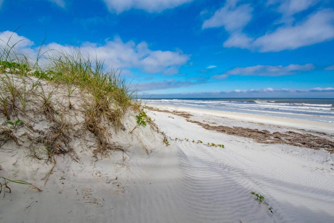 Photo of Others in St. Augustine Beach