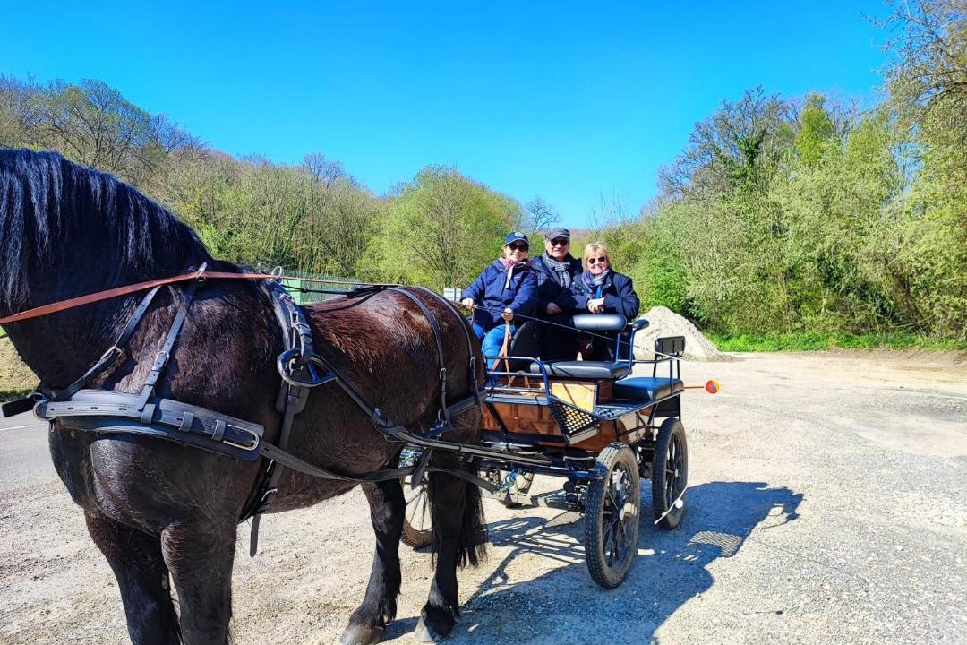 Photo of Others in Mentheville