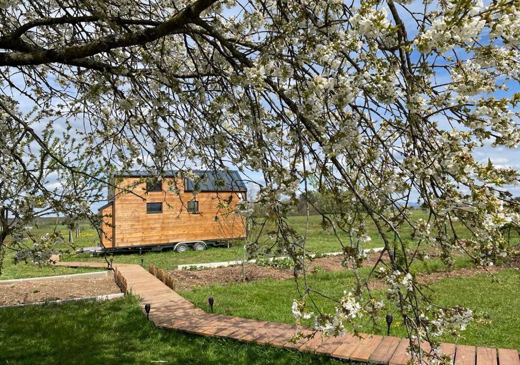 Photo of Others in Sainte-Marie-en-Chaux