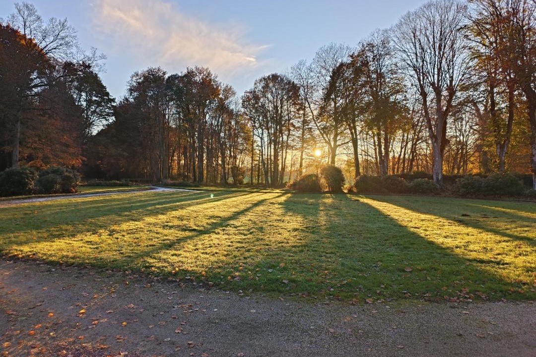 Photo of Others in Noyal