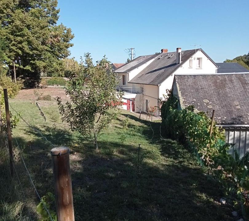 Photo of Others in La Roche-Posay
