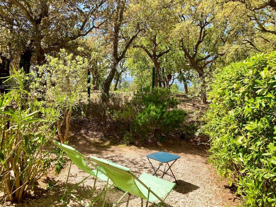 Photo of Outdoor in Les Restanques