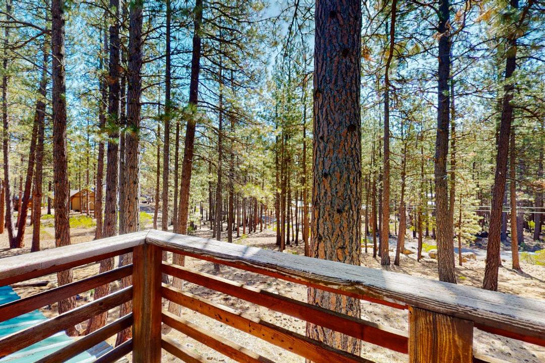 Photo of Others in River Forest Acres