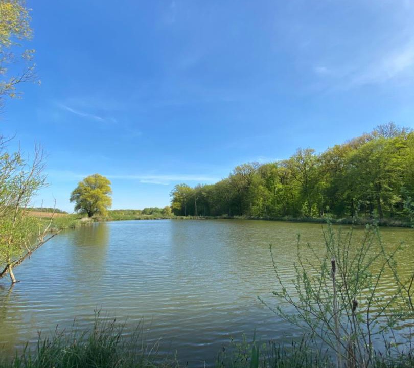 Photo of Outdoor in Moncheux