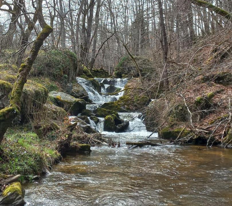 Photo of Others in Arfeuilles