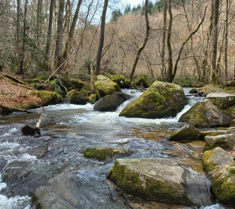 Photo of Others in Arfeuilles