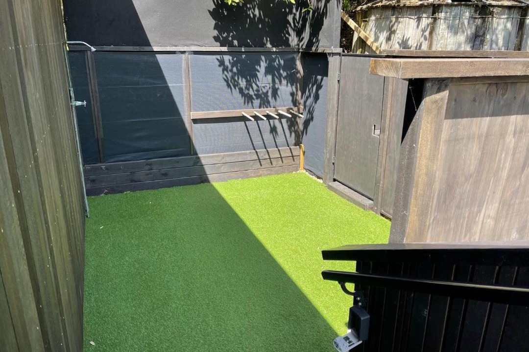 Photo of Others in Piha