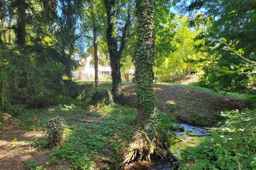 Photo of Others in Coust