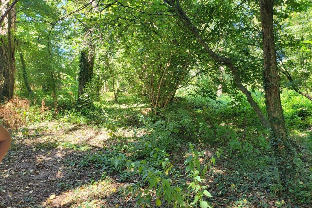 Photo of Others in Coust