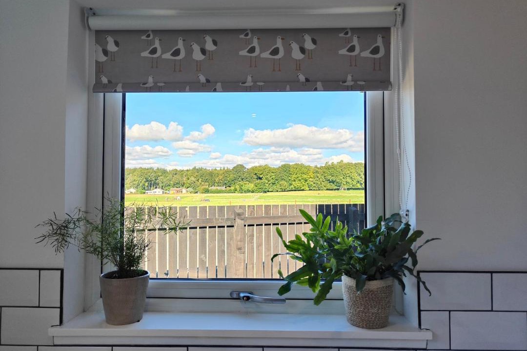 Photo of Others in Kirriemuir