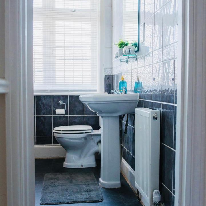 Photo of Others in Shirley