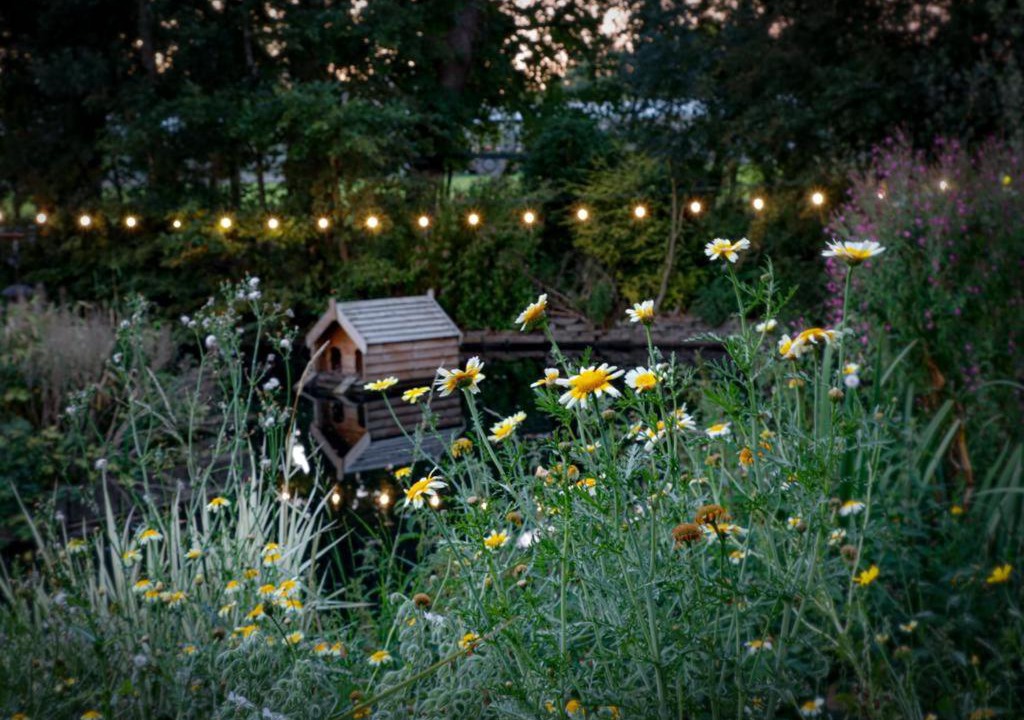 Photo of Others in Whitestake