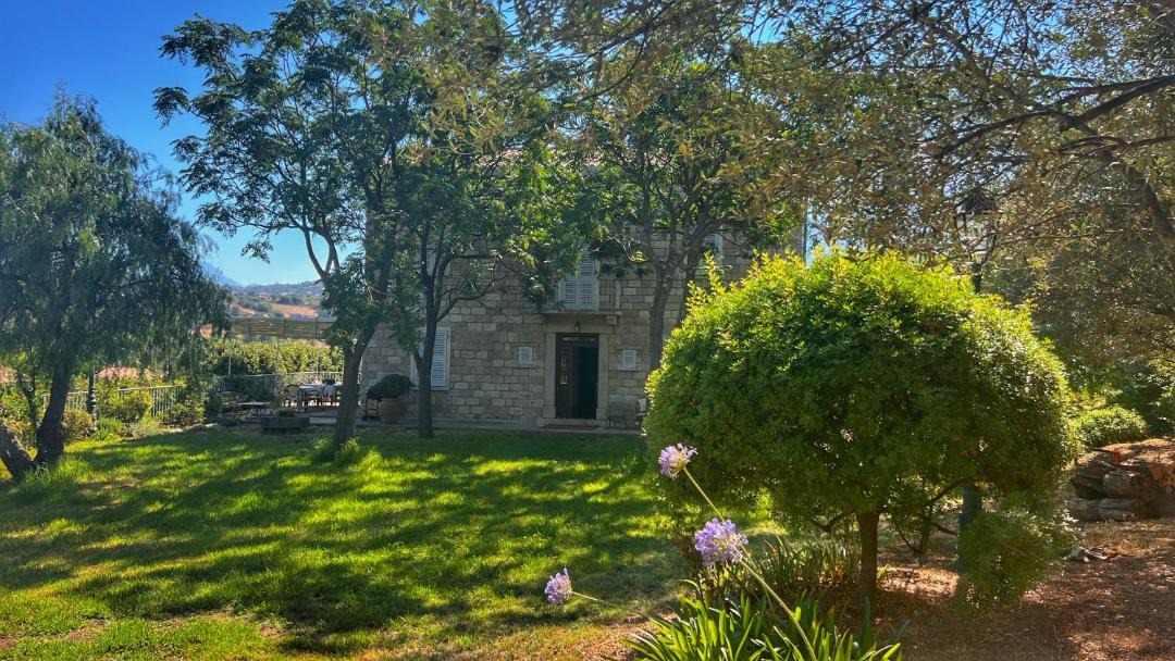 Photo of Others in Peri