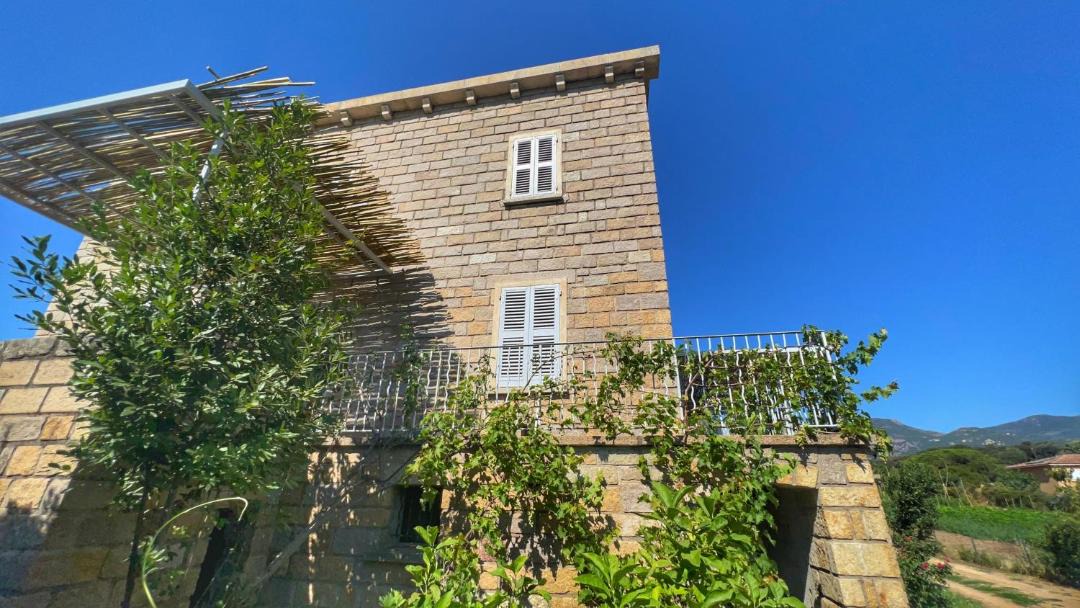 Photo of Others in Peri