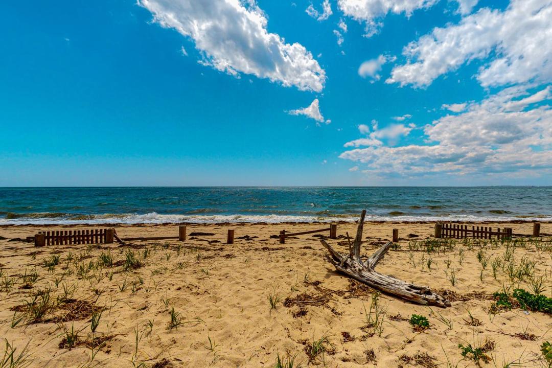 Photo of Others in North Truro