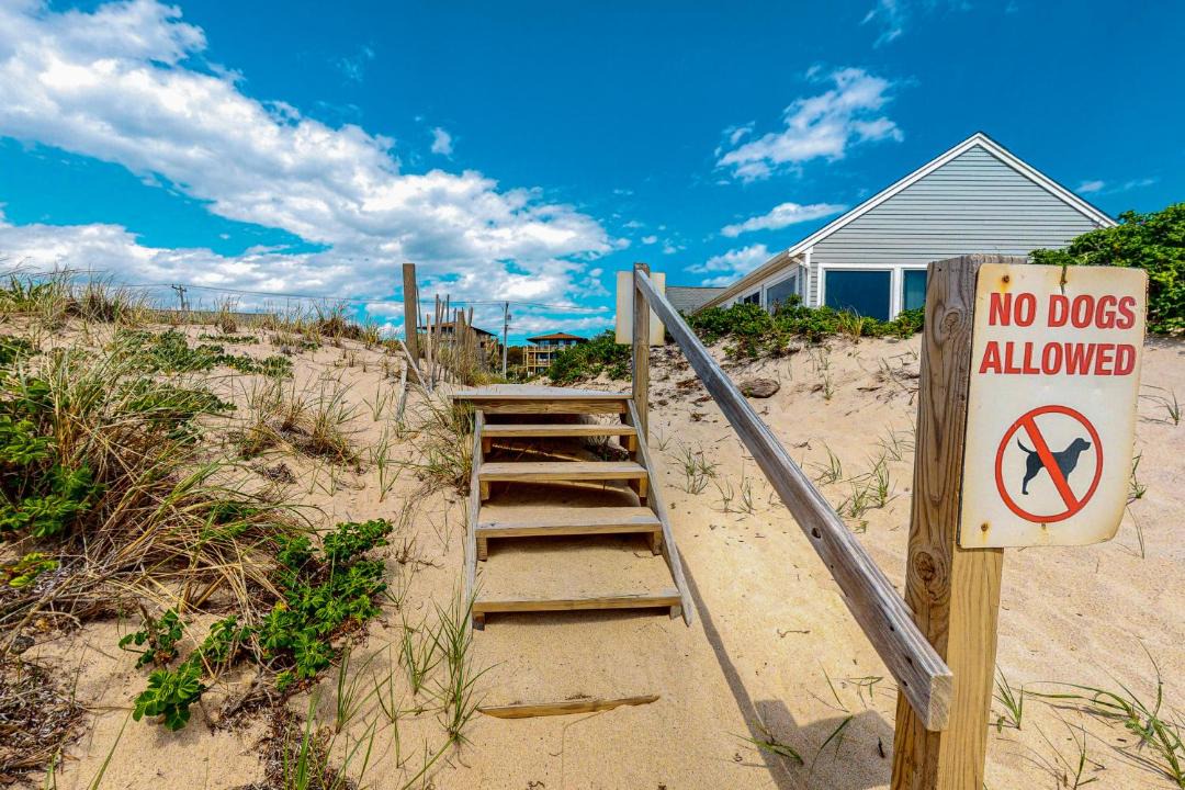 Photo of Others in North Truro