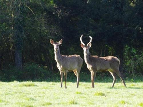 Photo of Others in Saint-Mars-du-Desert