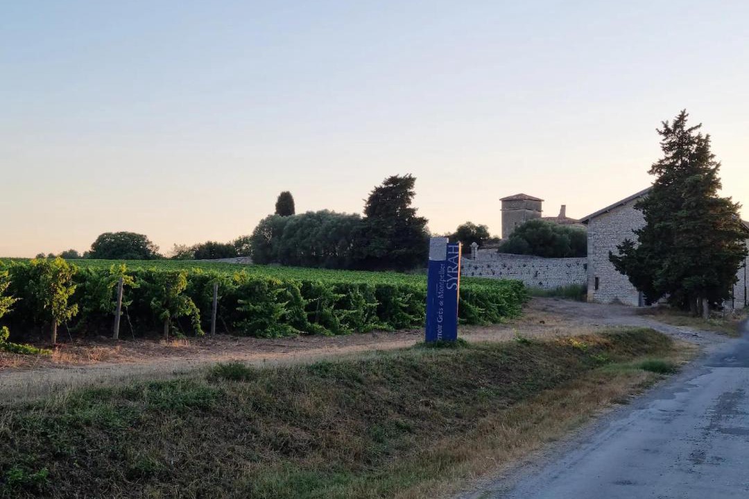 Photo of Others in Villeneuve-les-Maguelone