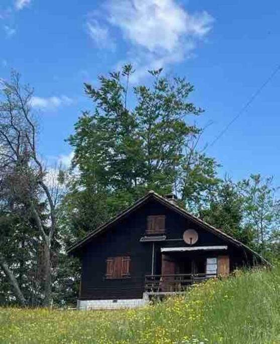 Photo of Buildings in Netstal