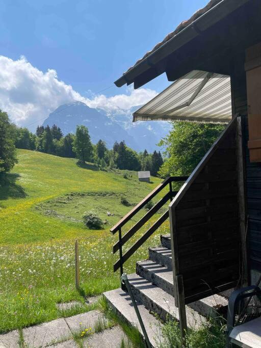 Photo of Others in Netstal