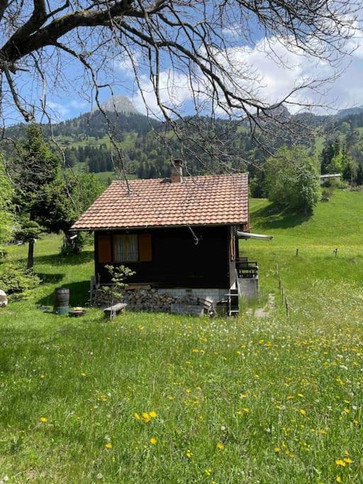 Photo of Buildings in Netstal