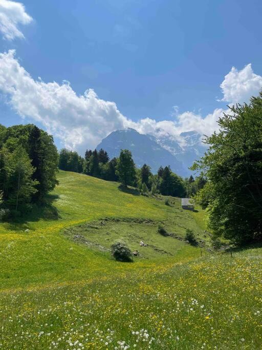Photo of Outdoor in Netstal