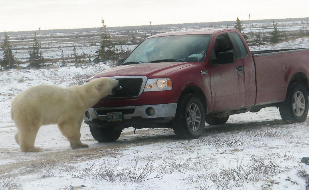 Photo of Others in Churchill
