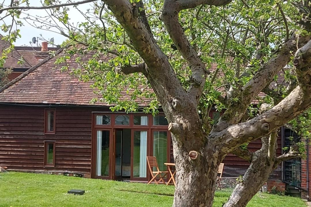 Photo of Buildings in Netley