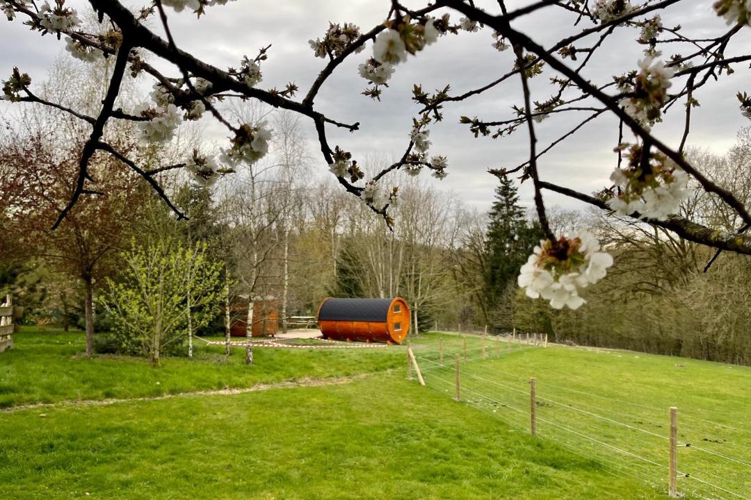 Photo of Others in Florent-en-Argonne