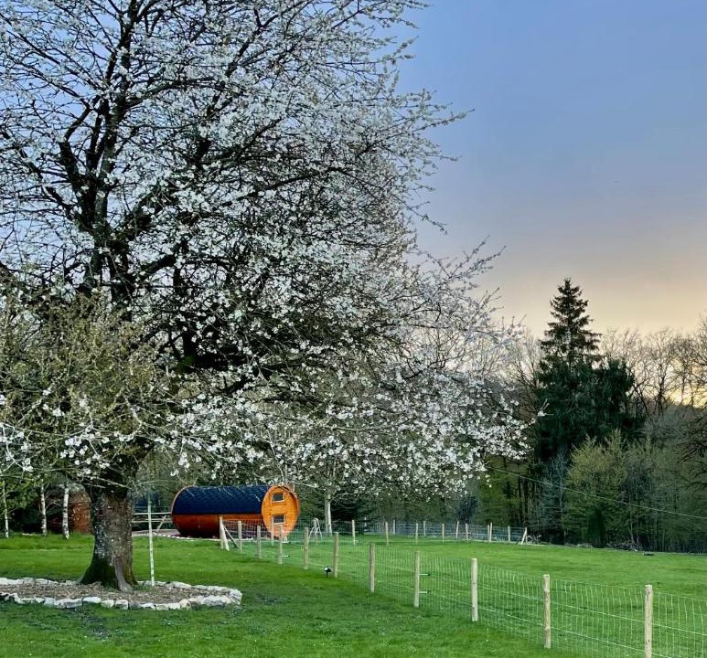 Photo of Buildings in Florent-en-Argonne
