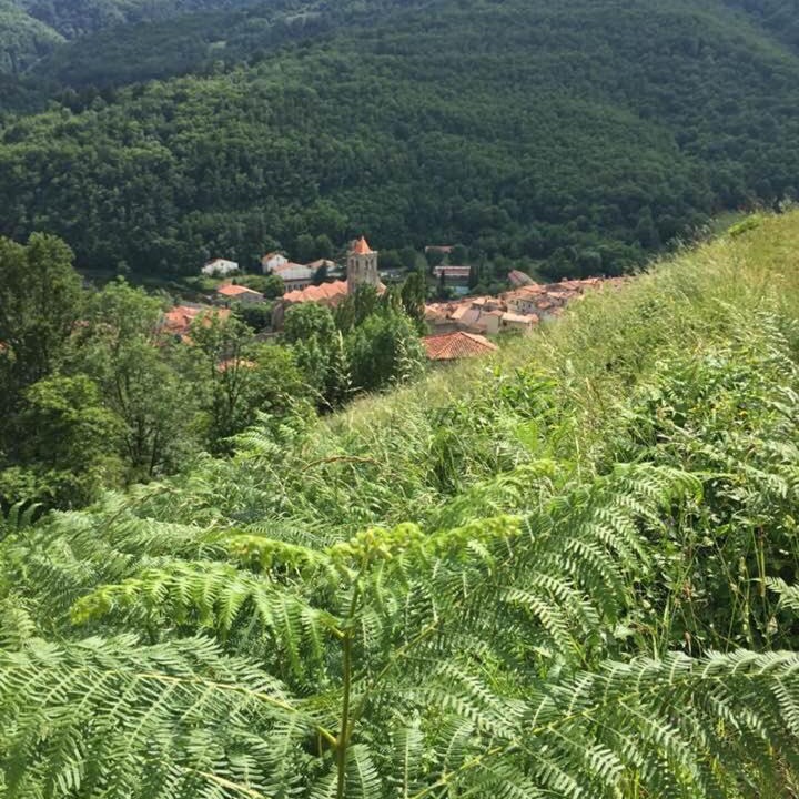 Photo of Outdoor in Prats-de-Mollo-la-Preste