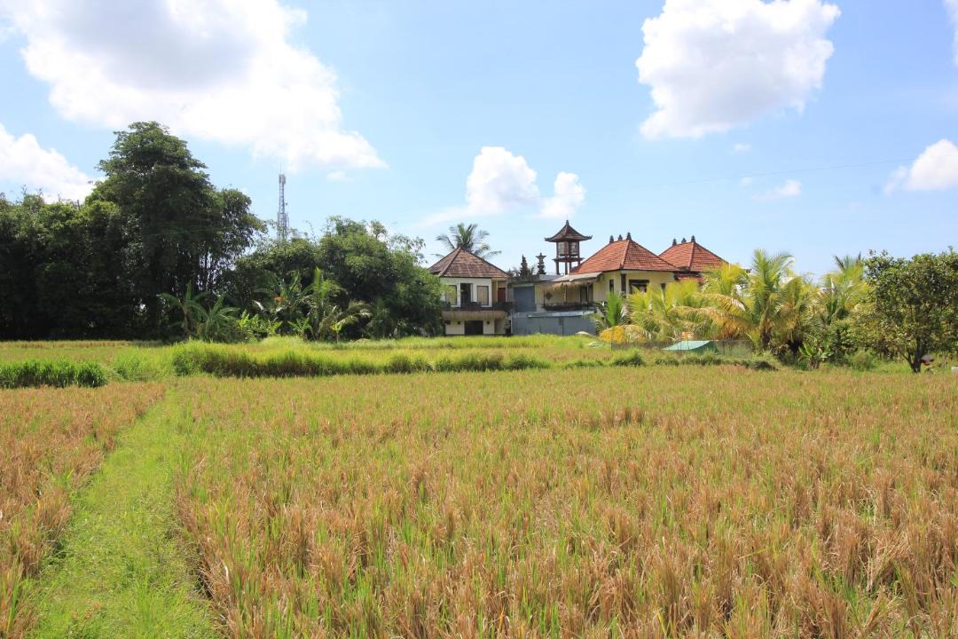 Photo of Others in Lodtunduh