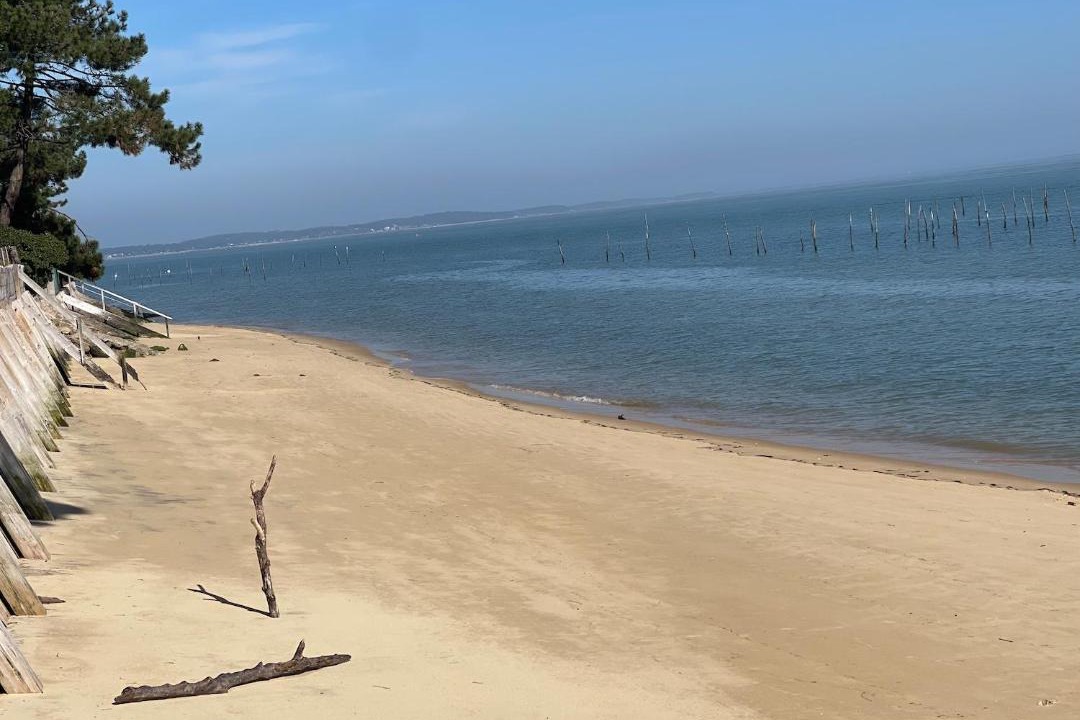 Photo of Others in Lege-Cap-Ferret