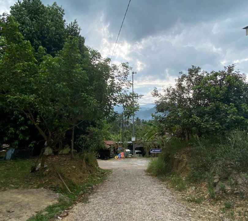 Photo of Others in Jeli